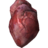 SR-icon-ingredient-Human Heart.png